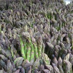 Green Asparagus at Market