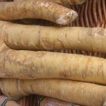 Horseradish root sections