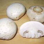Button or Champignon Mushroom