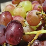 /Users/catherinehaug/Pictures/iPhoto Library_cmhaug/Masters/2014/02/17/20140217-104353/800px-Grapes_Angoor.JPG