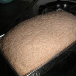 Simple Sourdough loaf, before baking